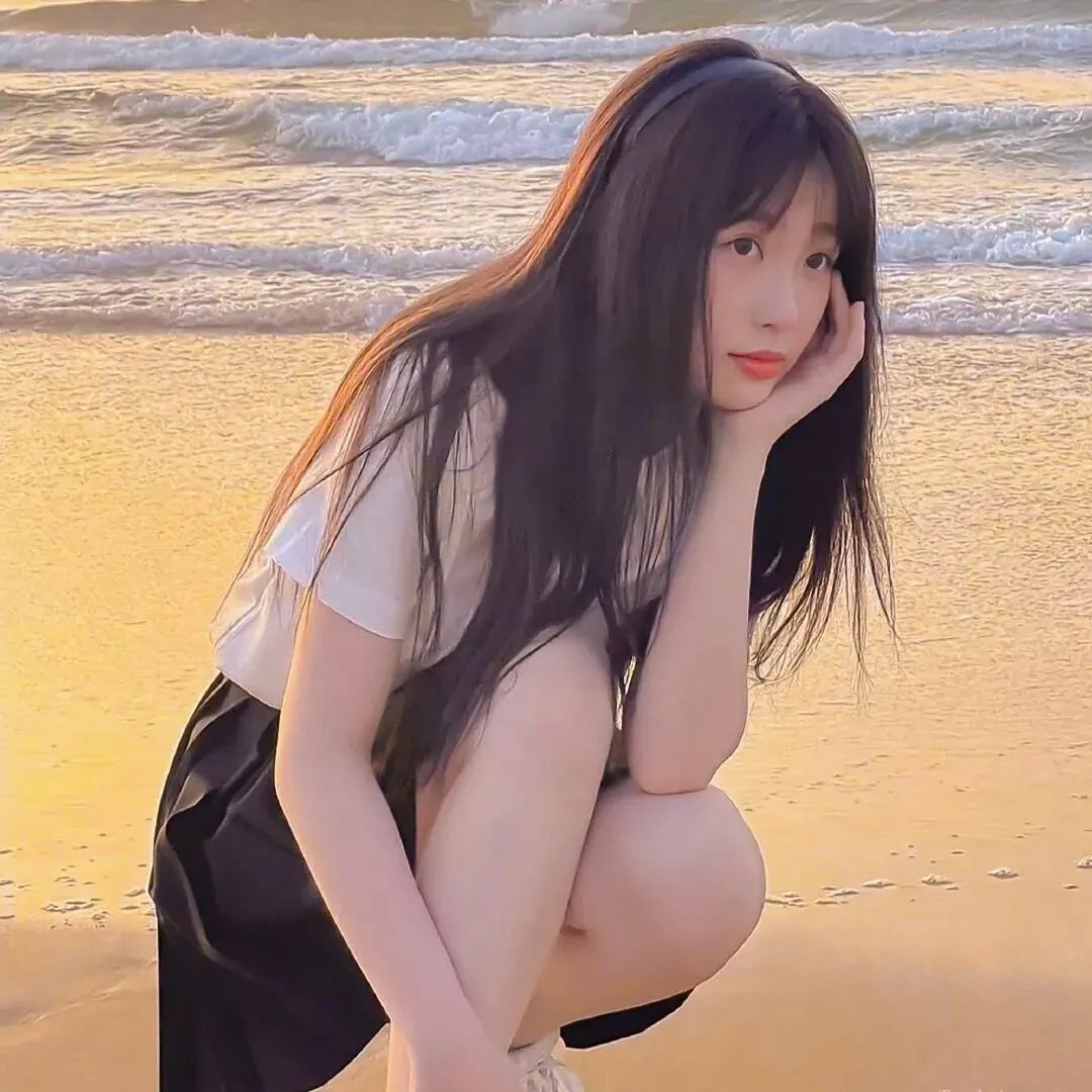 小夜莺封面